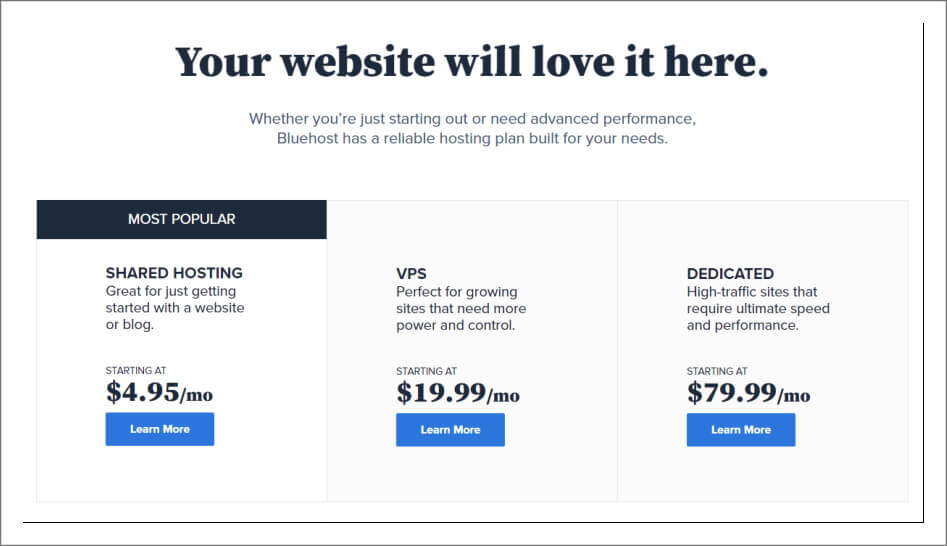블루호스트 호스팅 가격