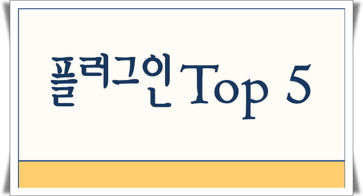 플러그인 추천 top 5