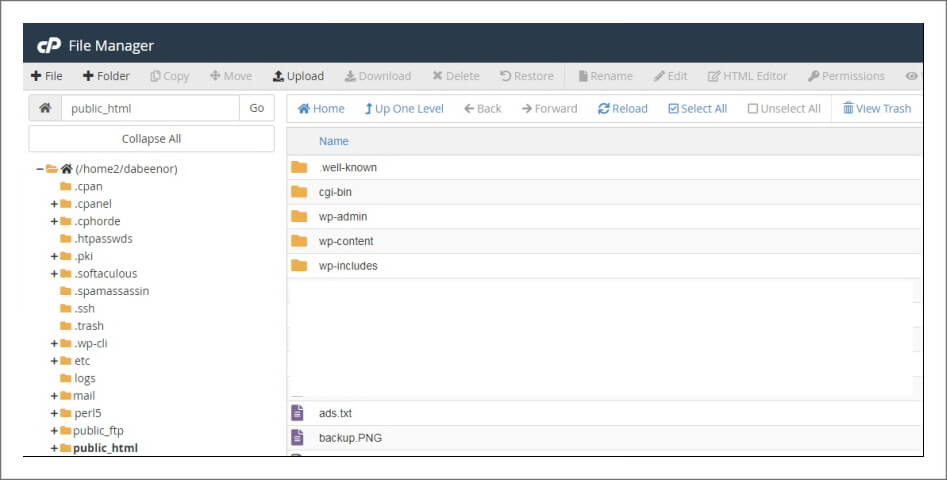 bluehost_ads.txt 파일 추가